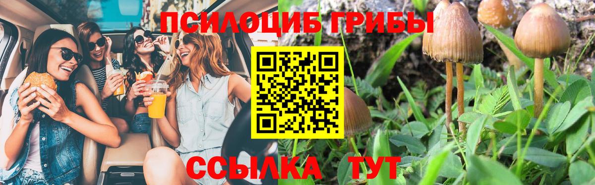 Россошь  Галлюциногенные грибы MAGIC MUSHROOMS  Вход с VPN 